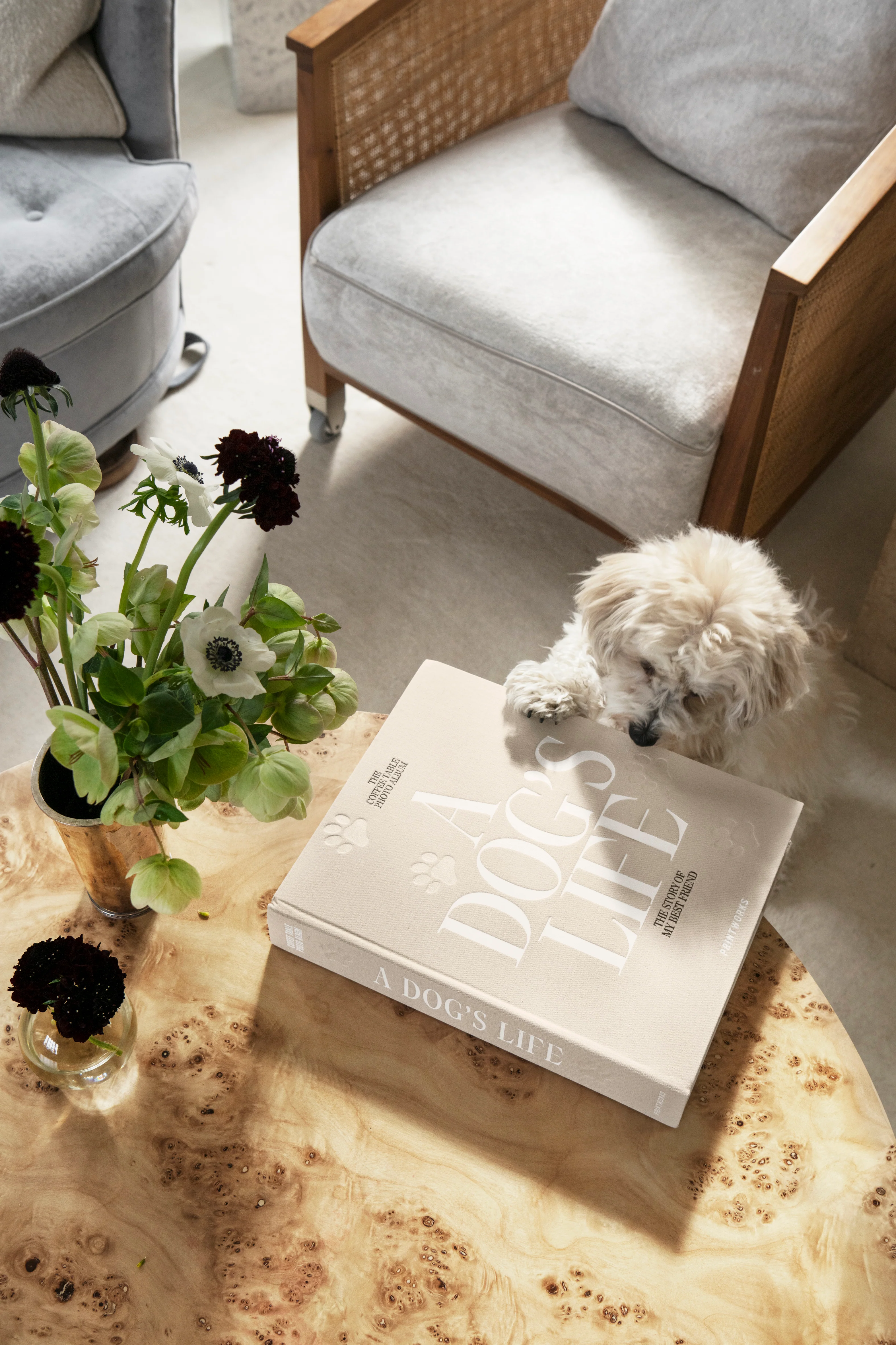 Album na zdjęcia A DOG'S LIFE beżowy - Image 2