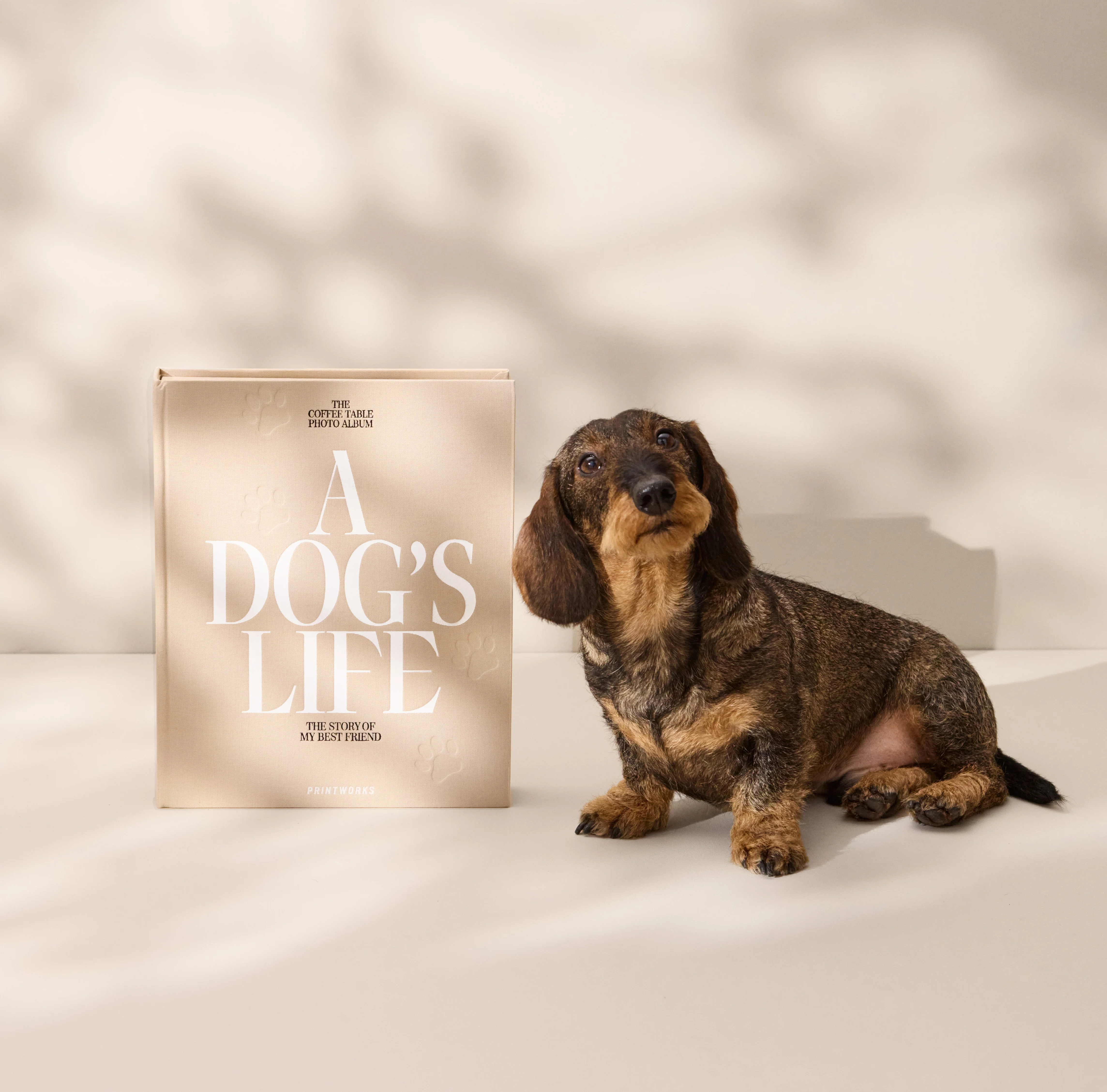 Album na zdjęcia A DOG'S LIFE beżowy - Image 3