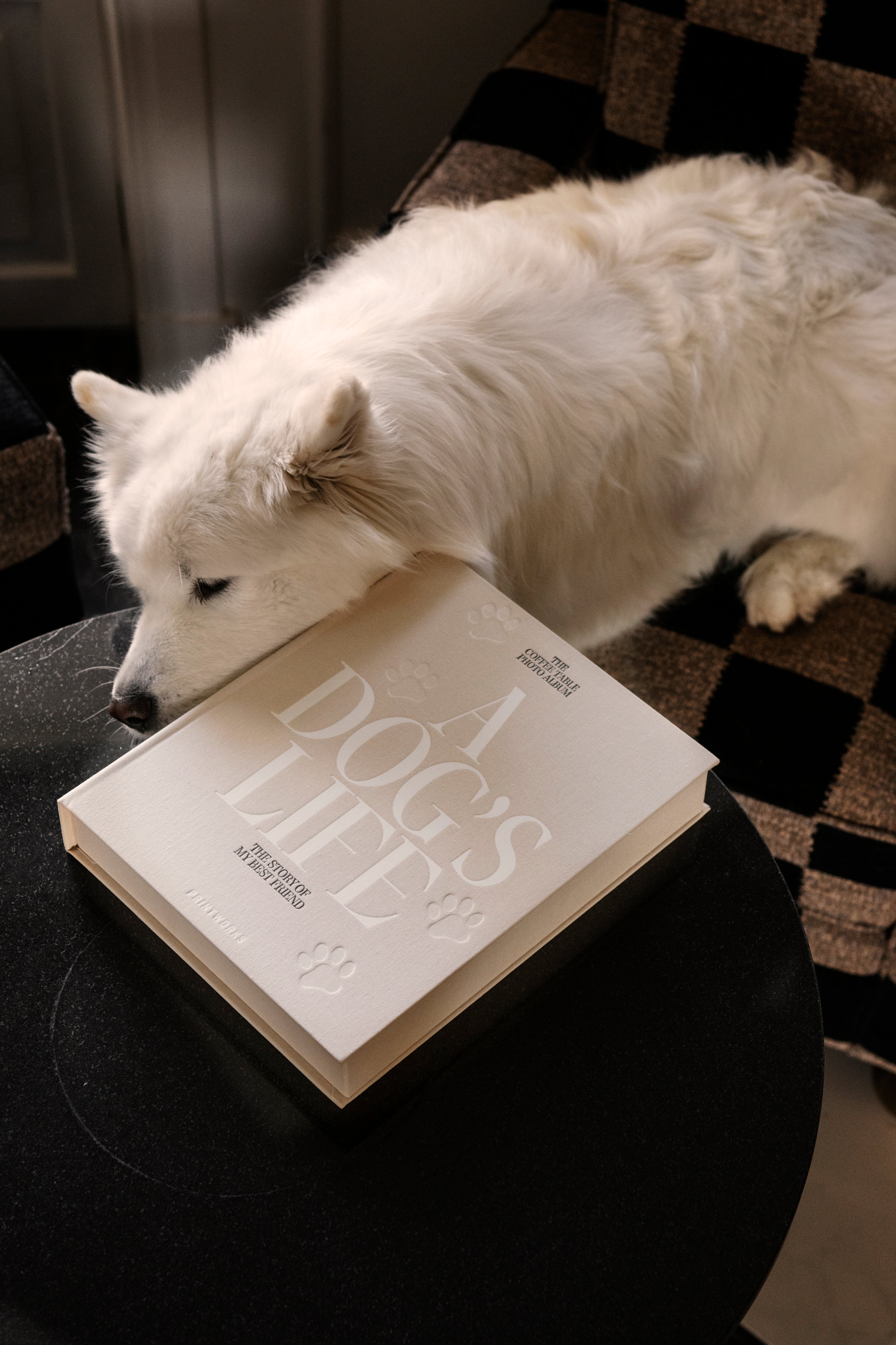 Album na zdjęcia A DOG'S LIFE beżowy - Image 5