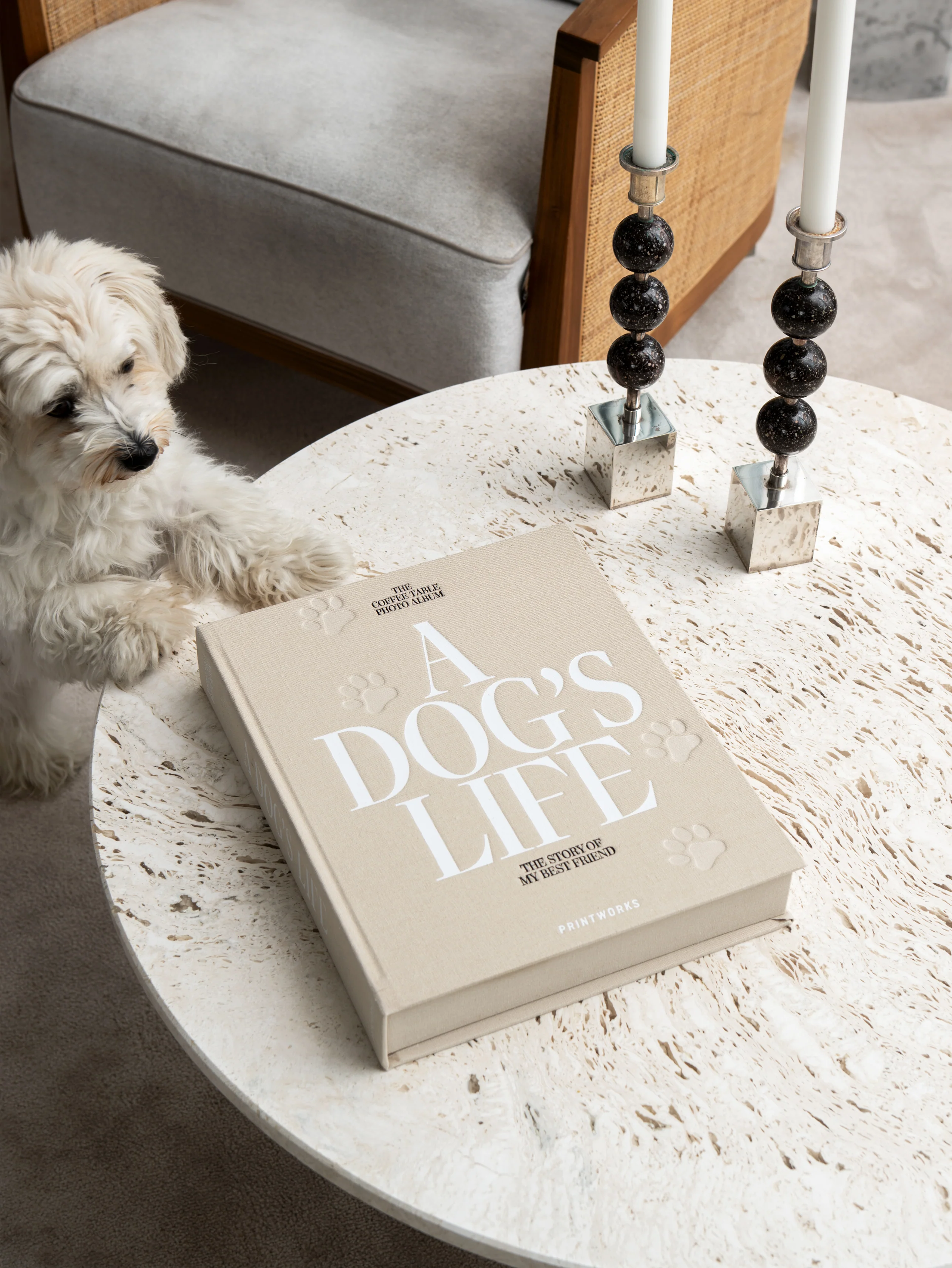 Album na zdjęcia A DOG'S LIFE beżowy - Image 7