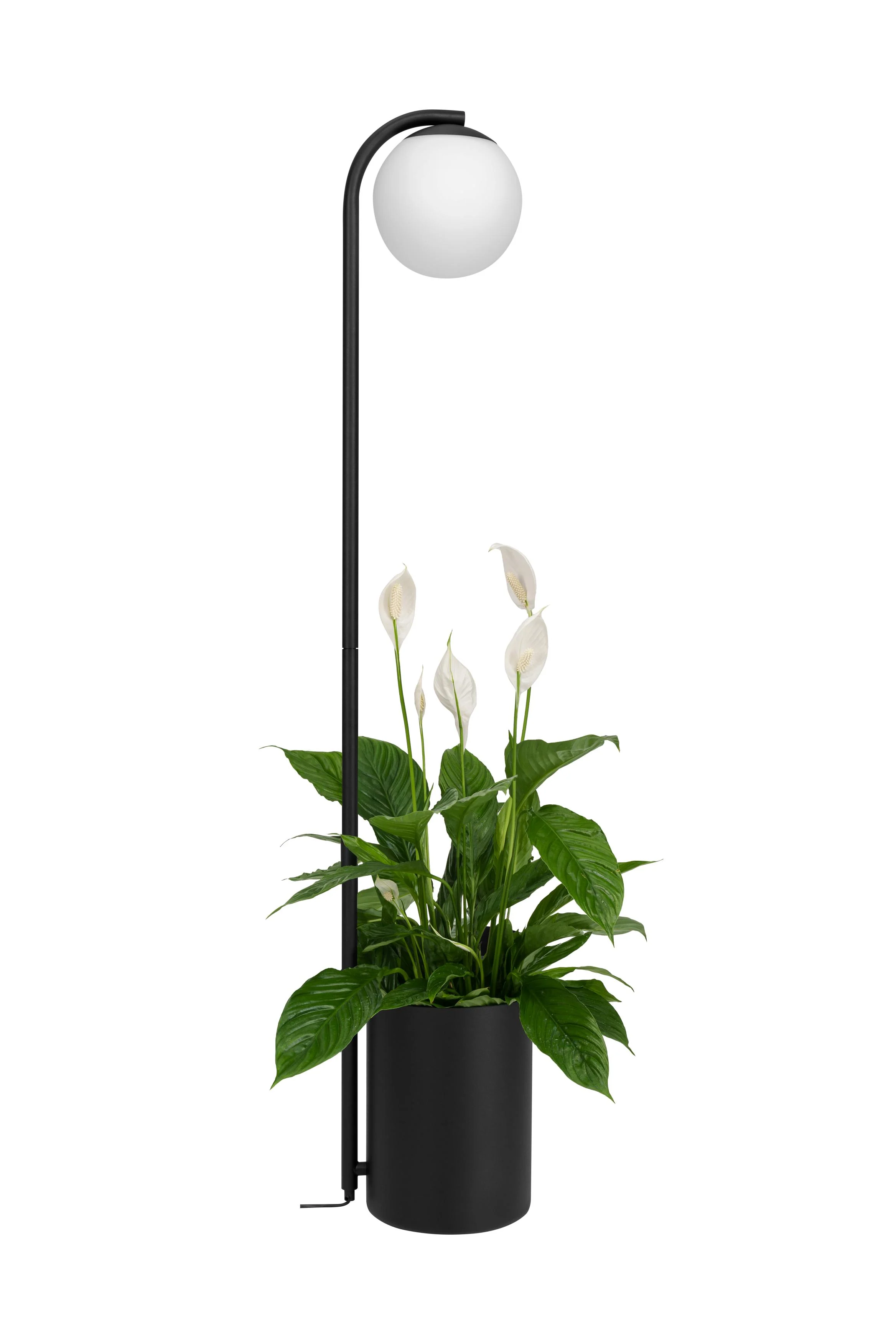 Lampa podłogowa ze stolikiem BOTANICA DECO XL czarny - Image 3