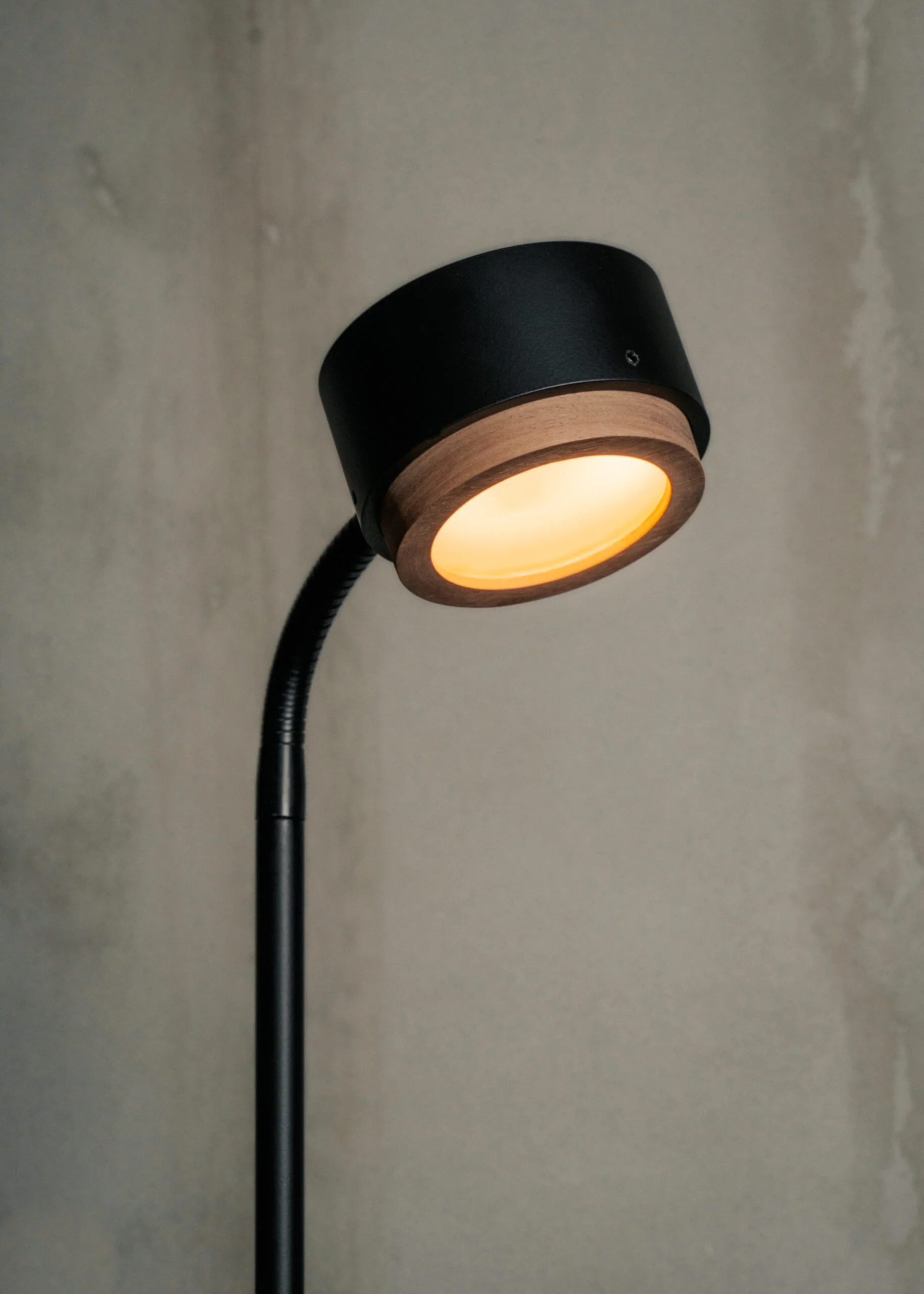 Lampa podłogowa JUBI aluminium z drewnem orzechowym - Image 3