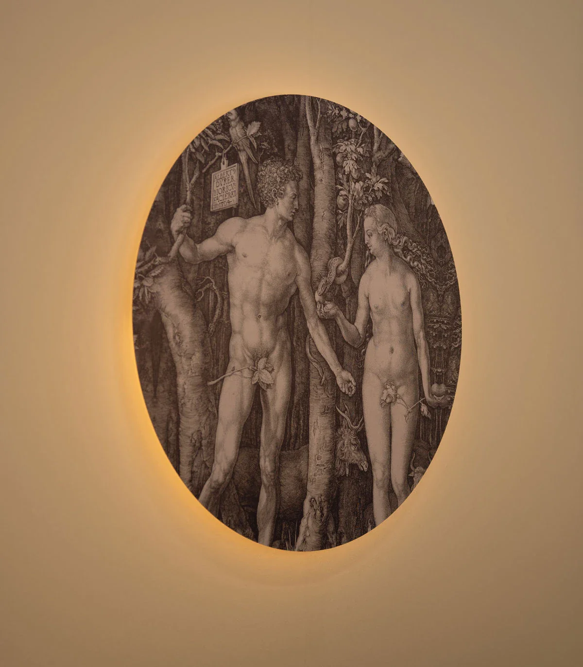 Lampa ścienna DOTS LIGHTING - FORBIDDEN FRUIT szary - Image 3