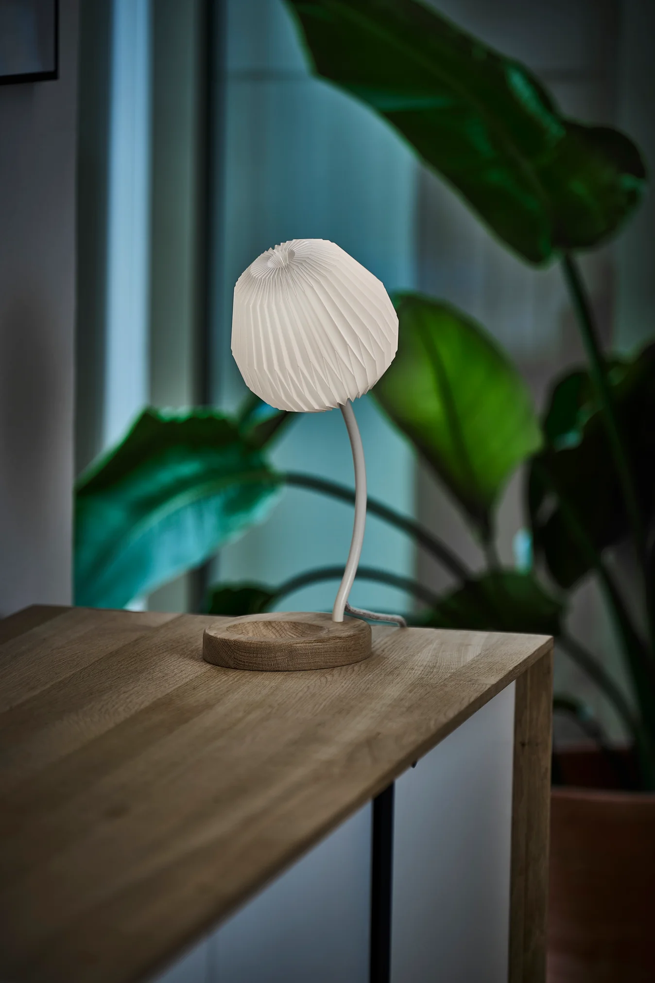Lampa stołowa MODEL 328 biały z dębową podstawą - Image 5