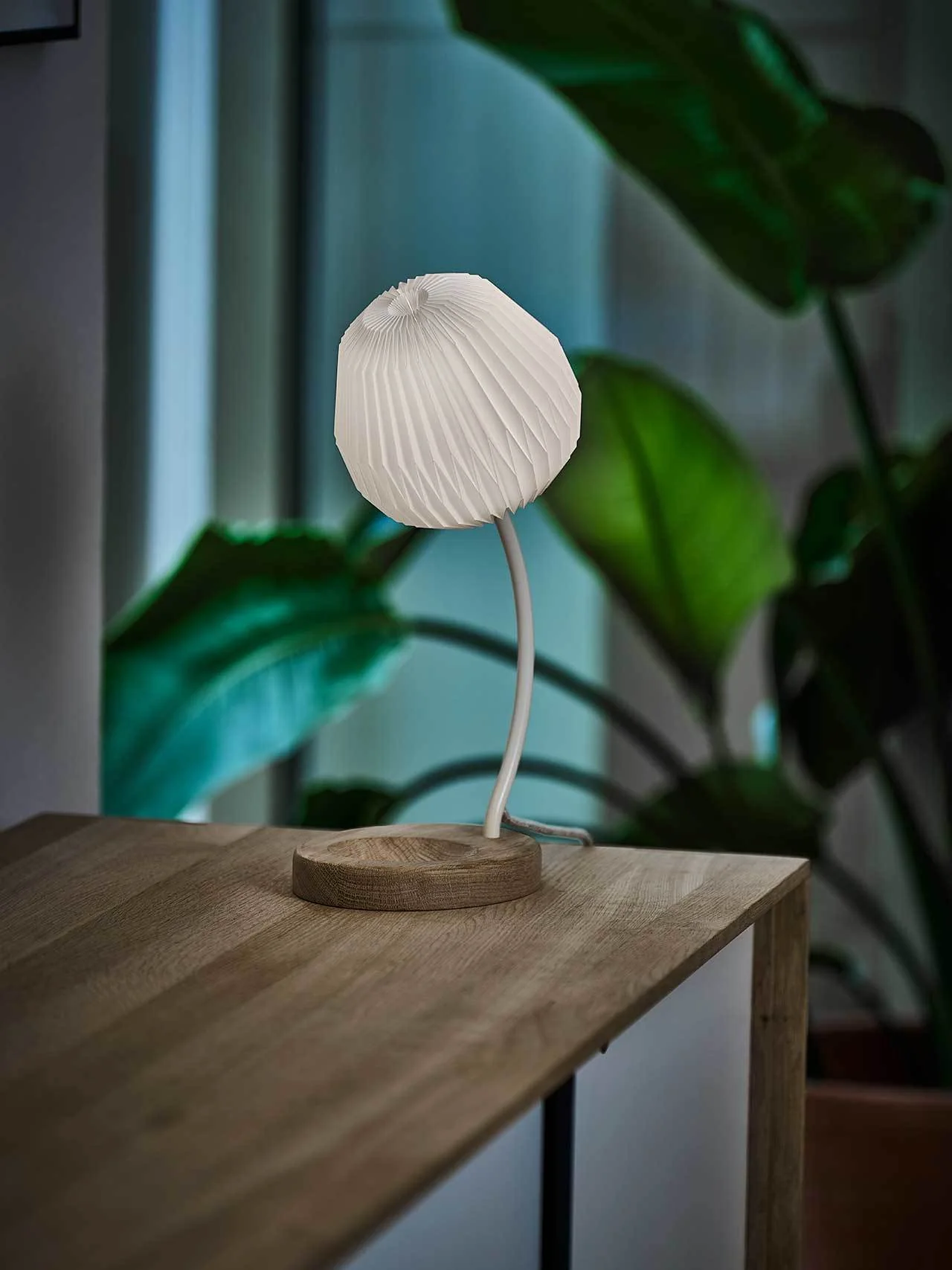 Lampa stołowa MODEL 328 biały z dębową podstawą - Image 6