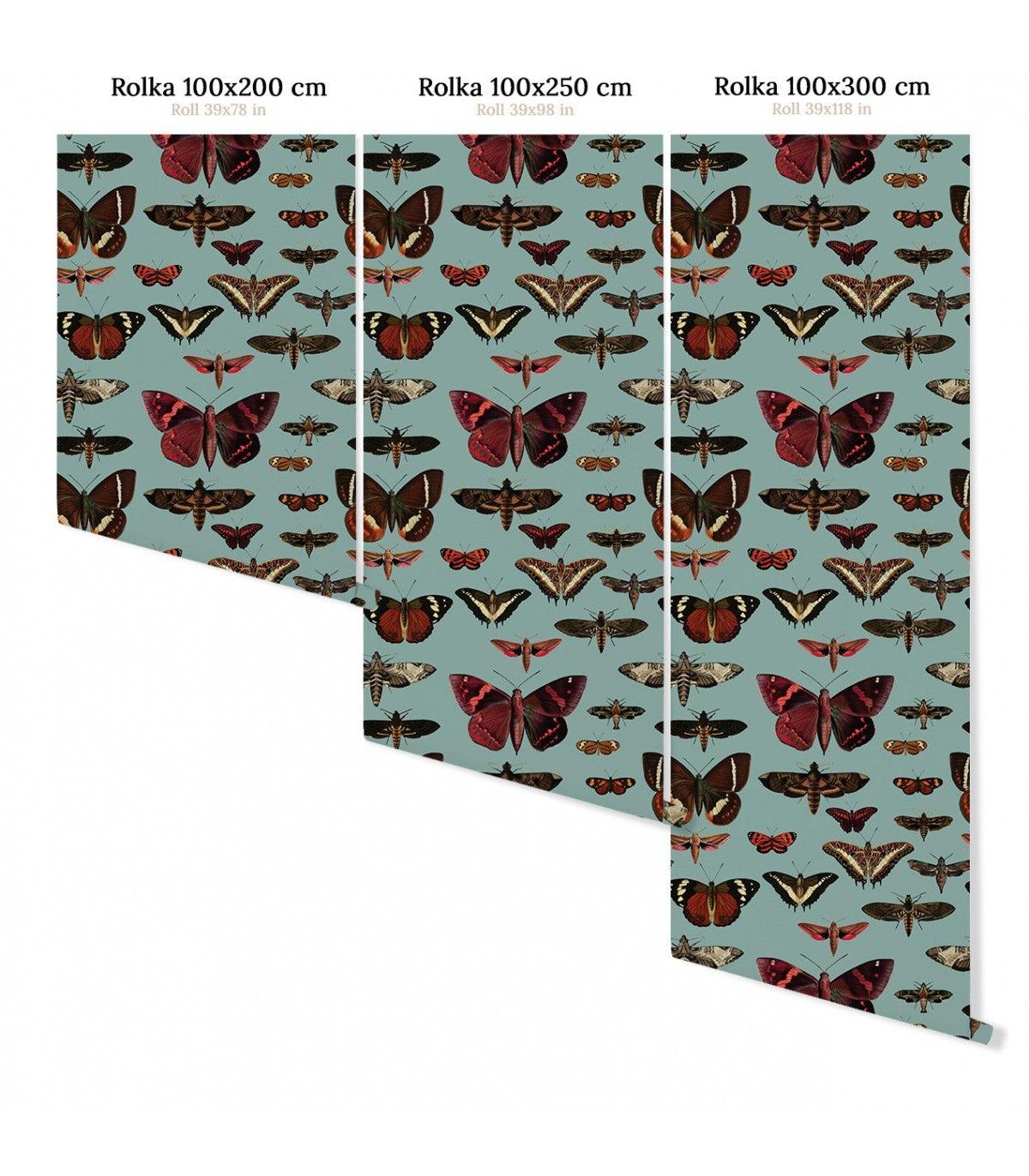 Tapeta BUTTERFLIES TURQUOISE - Image 3