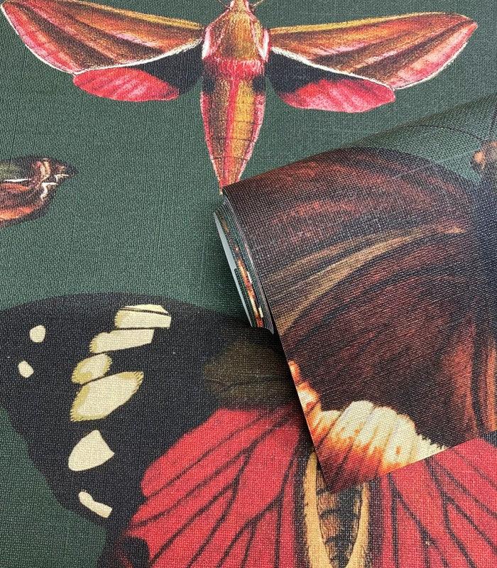 Tapeta flizelinowa z motywem motyli BUTTERFLIES VERT ciemnozielony - Image 3