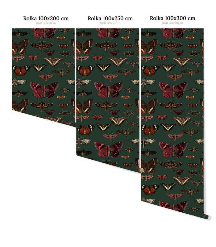 Tapeta flizelinowa z motywem motyli BUTTERFLIES VERT ciemnozielony - Image 7