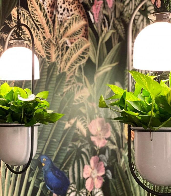 Tapeta flizelinowa z motywem roślinnym i zwierzęcym DARK JUNGLE zielony - Image 3