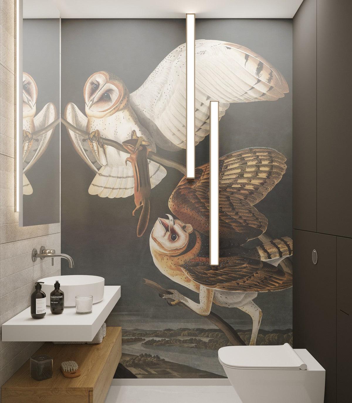 Tapeta OWLS - Image 2