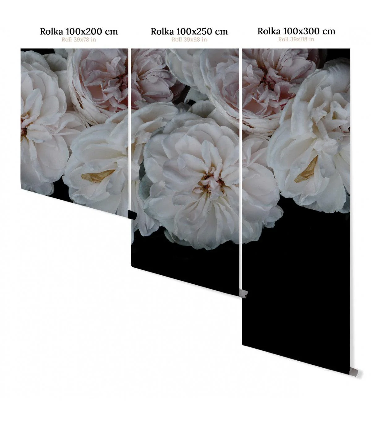 Tapeta PEONY - Image 3