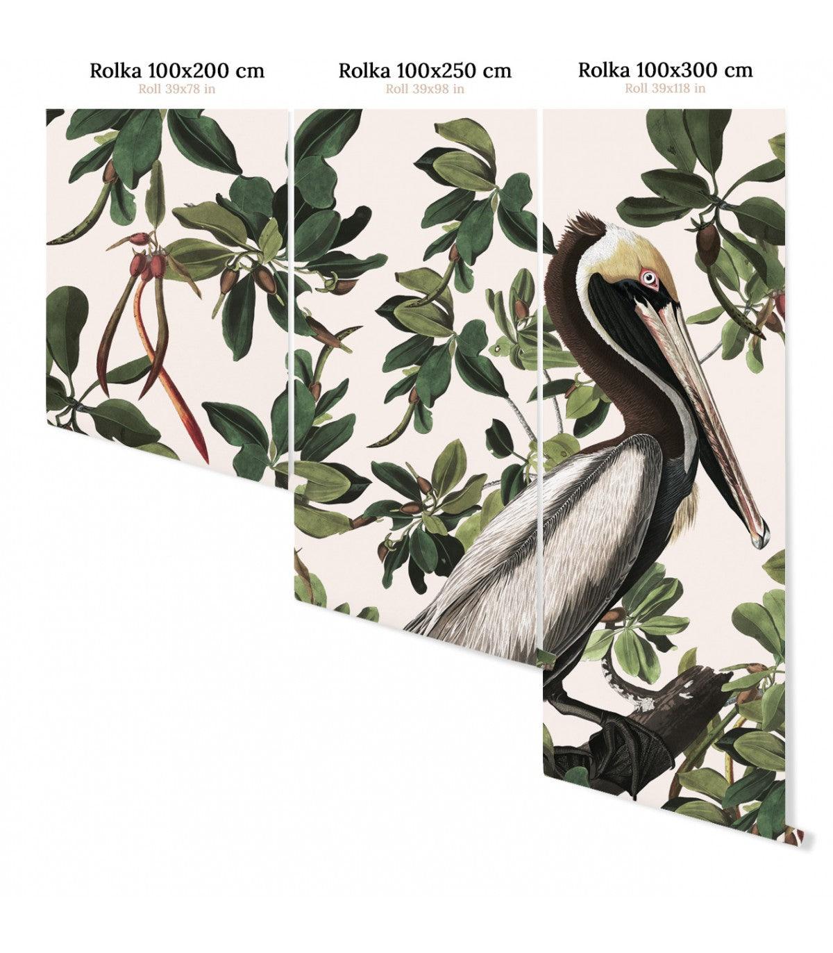 Tapeta SPRING PELICANS - Image 2