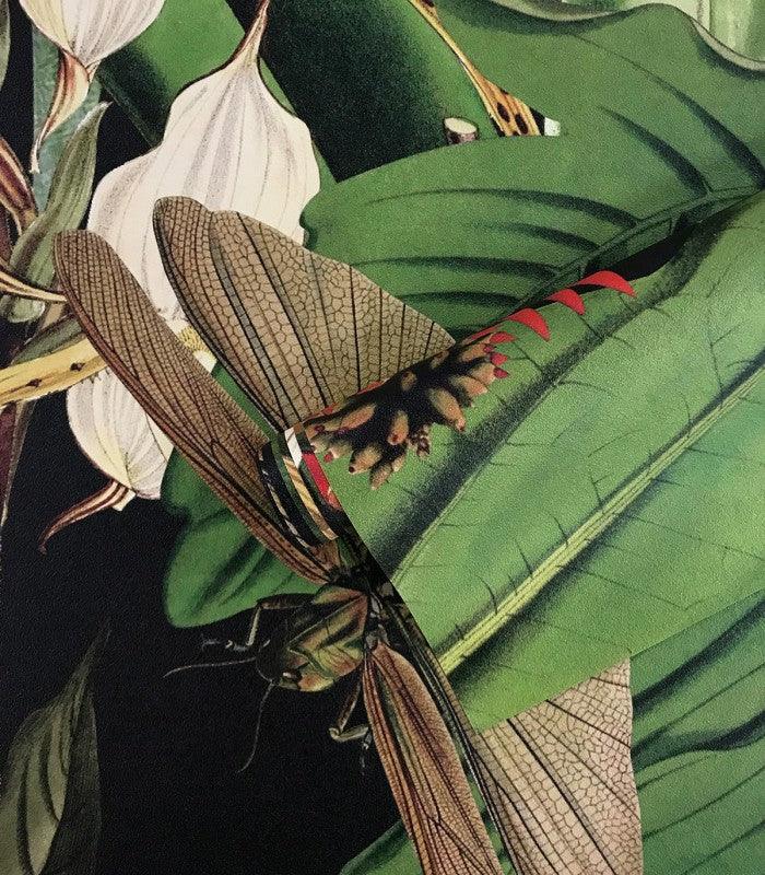 Tapeta TROPICAL COMPOSITION - Image 2